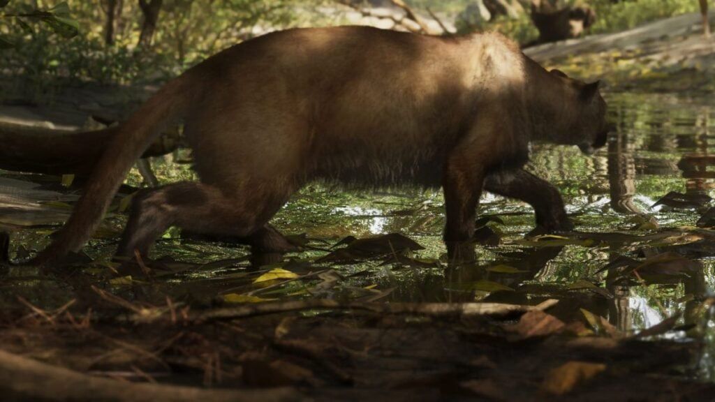 Un puma se déplace dans un marécage à Mount Kalaga dans GTA VI