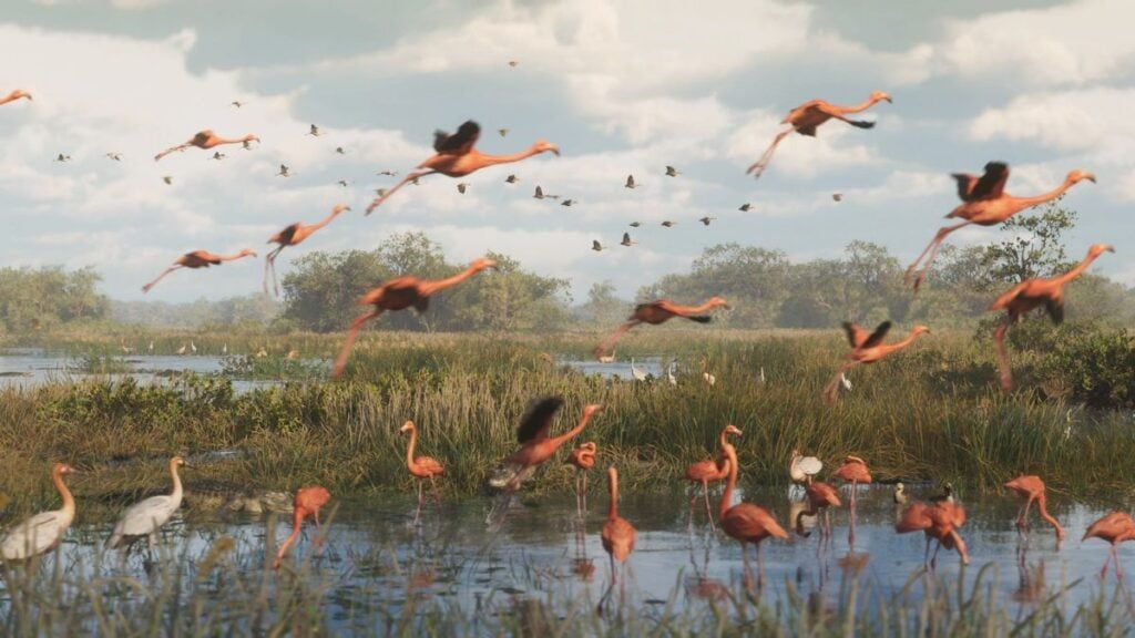 Une colonie de flamants roses dans les Everglades de GTA VI