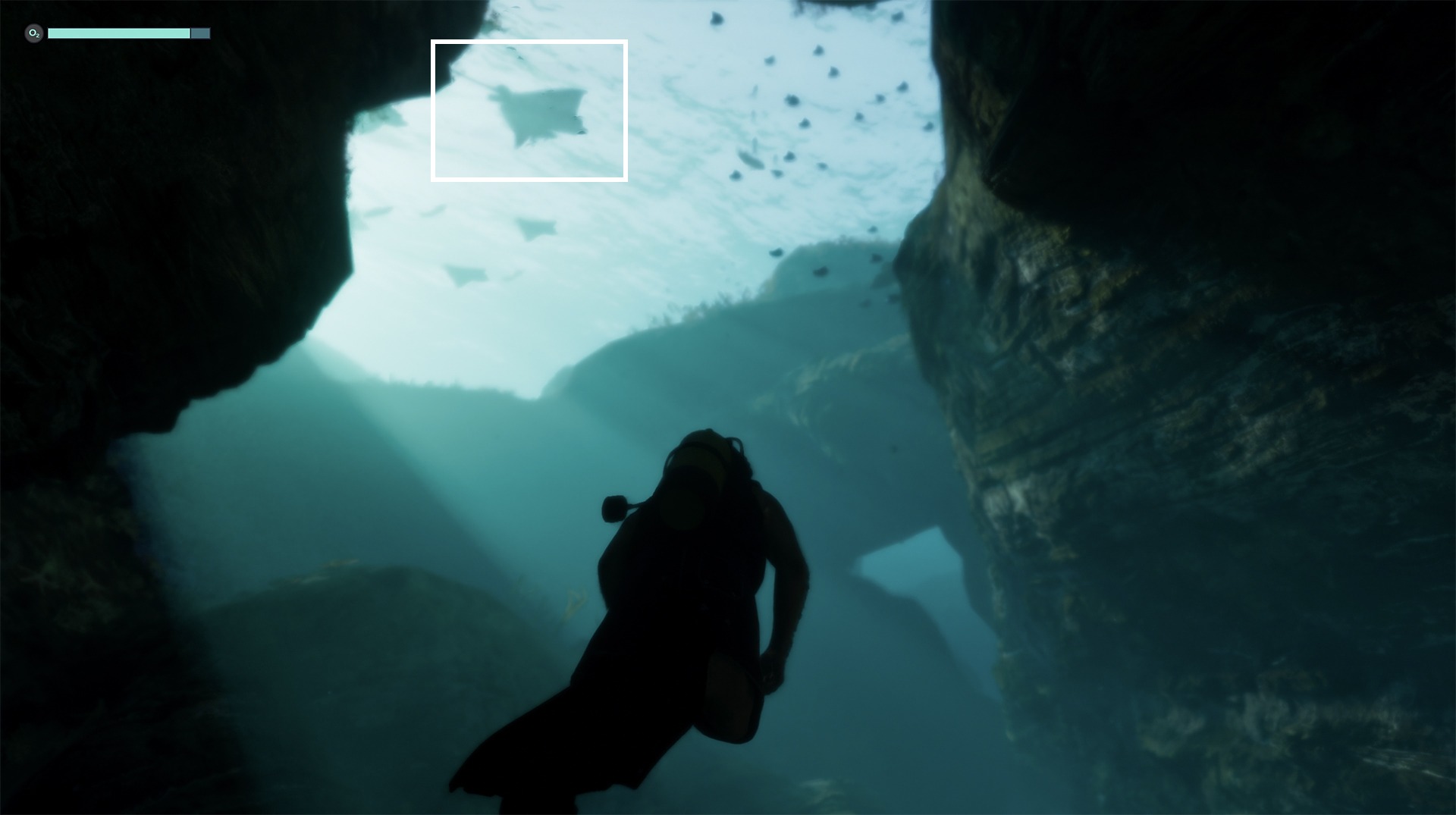 Raie dans les eaux de GTA VI