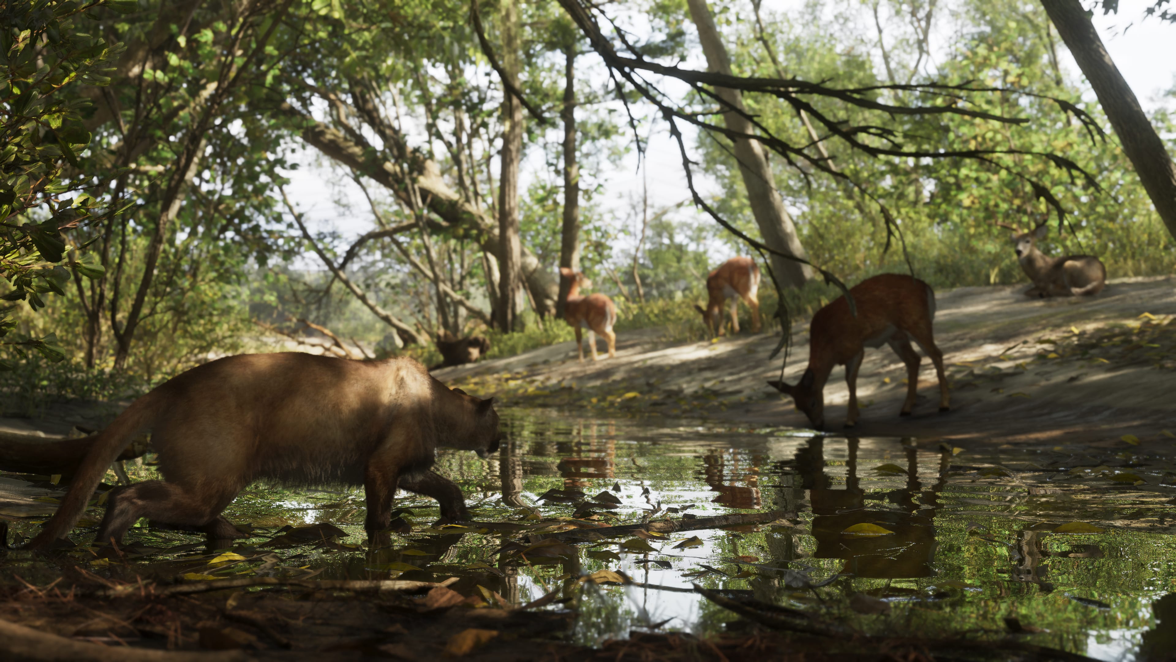 Mount Kalaga National Park - capture 5