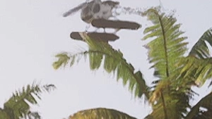 Sea Sparrow, GTA VI