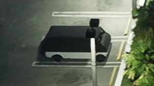 Youga Classic, GTA VI