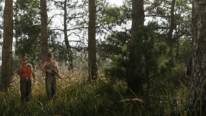 Mount Kalaga National Park, GTA VI