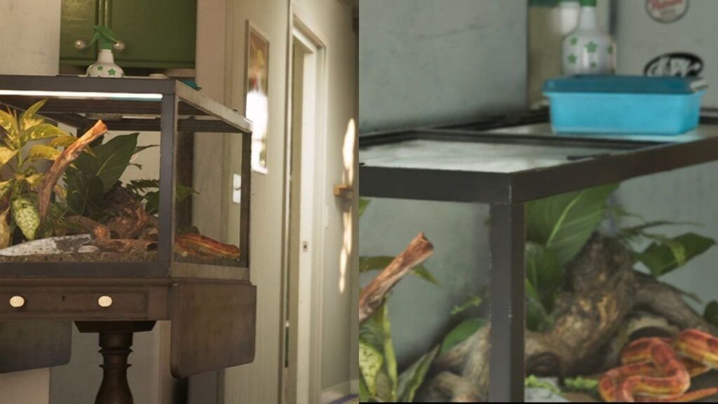 Un serpent des blés dans un terrarium à l'intérieur du domicile de Jason et Lucia dans GTA VI