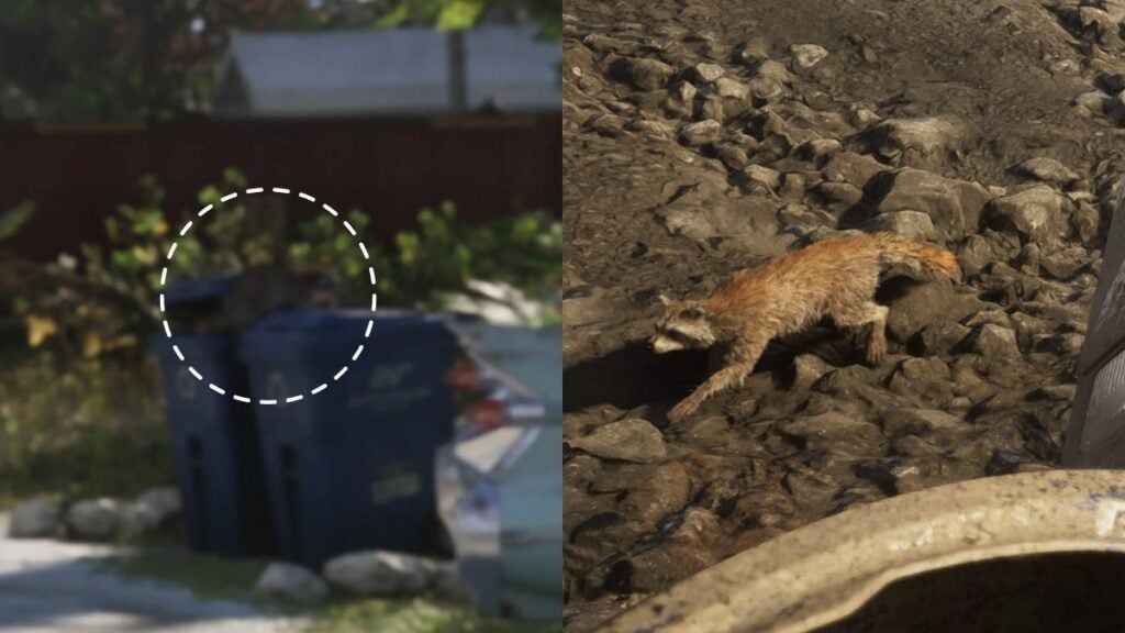 Un raton laveur fouille les poubelles à Vice City dans GTA VI