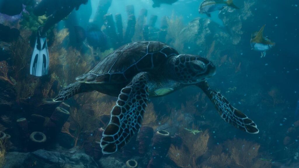 Une tortue de mer nage près d'un récif corallien dans GTA VI