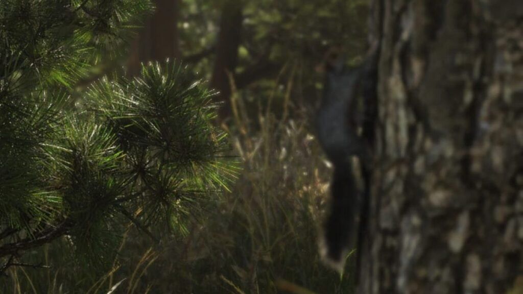 Un écureuil grimpe à un arbre à Mount Kalaga dans GTA VI
