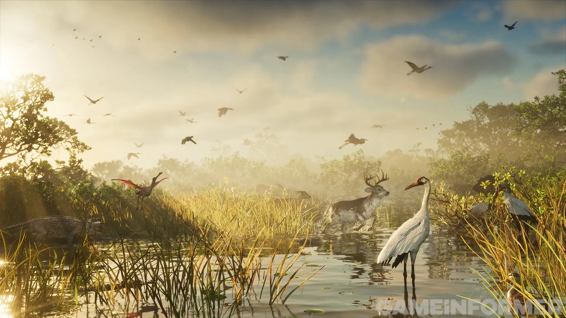 Capture de GTA VI publiée par Game Informer : un marais au soleil levant, avec un cerf, une aigrette et des oiseaux en vol