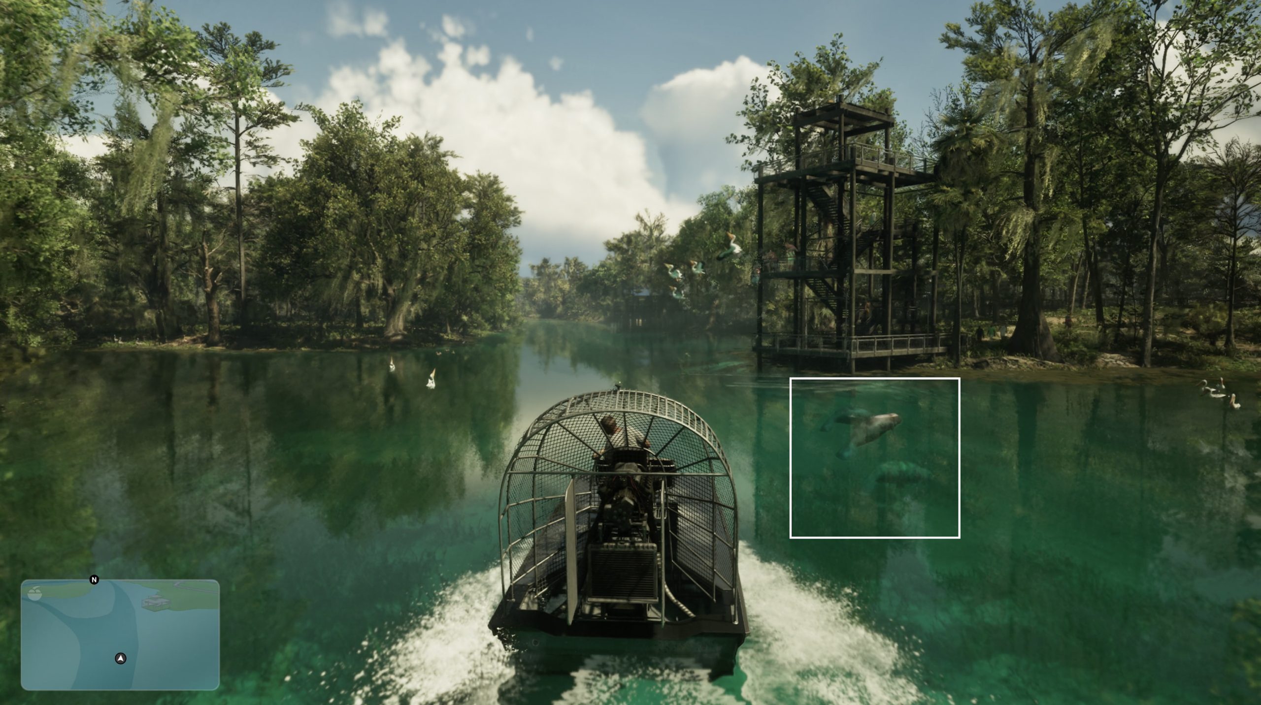 Lamantin nageant dans une eau peu profonde de Leonida dans GTA VI