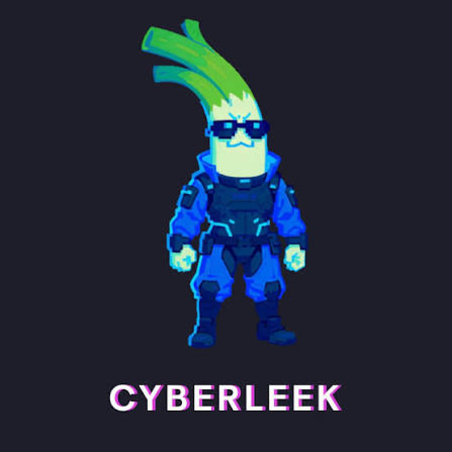 L’avatar de Cyberleek : un poireau en pixel art, lunettes noires et tenue de combat bleue