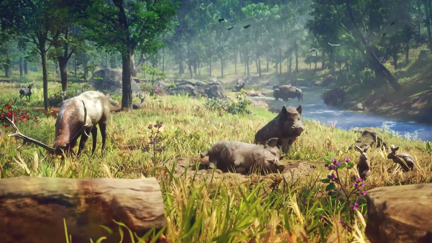 Cerfs, sangliers et bisons dans une forêt traversée par une rivière, dans une publicité télévisée de l’Extended Look de GTA VI