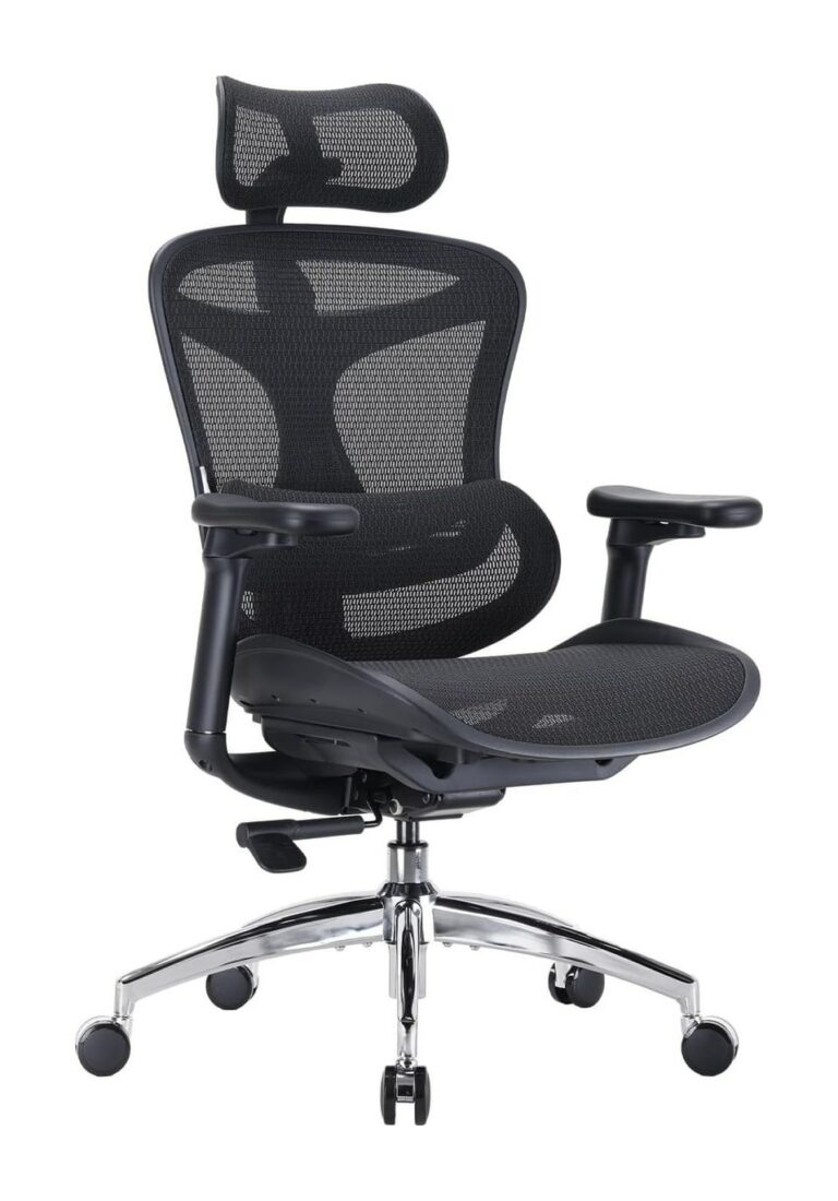 Chaise ergonomique Sihoo Doro C300 en maille noire